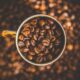 Vestea momentului pentru iubitorii de cafea! Culturile de cafea, în pericol! Ce alternativă benefică s-a găsit