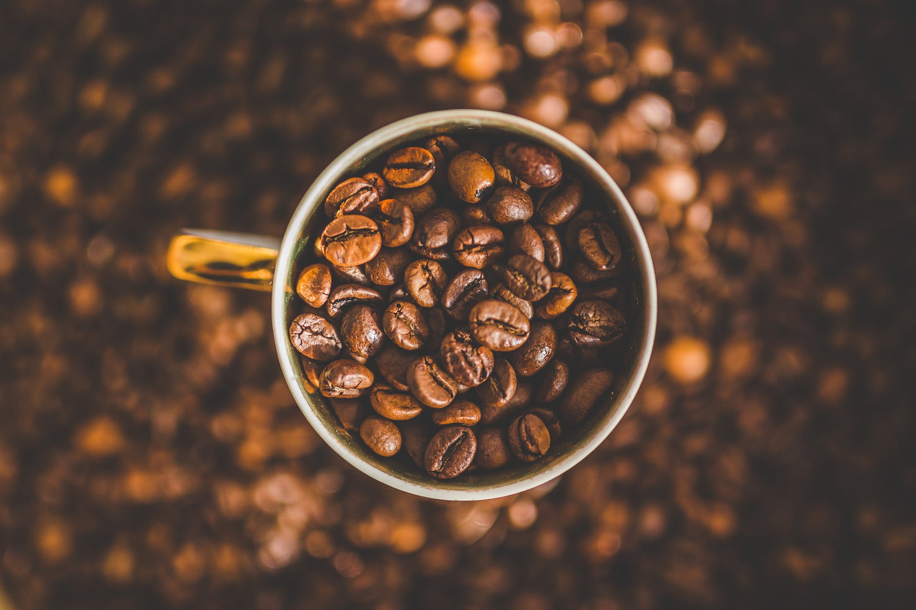 Vestea momentului pentru iubitorii de cafea! Culturile de cafea, în pericol! Ce alternativă benefică s-a găsit