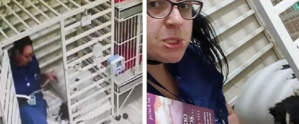 Imagini adorabile cu un medic veterinar care citește povești unui cățel din adăpost!