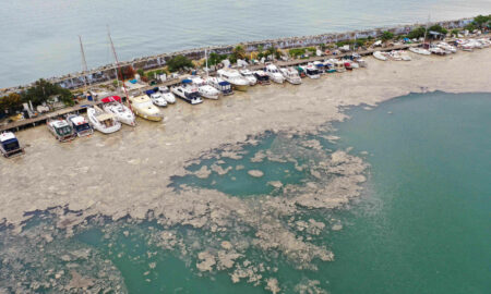 Dezastru ecologic în Marea Marmara. Sunt amenințate Marea Neagră și Marea Egee