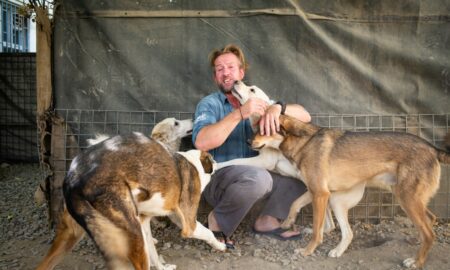 Peste 200 de câini și pisici salvați din Afganistan! Decizia unui fost militar din teatrul de operațiuni