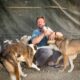 Peste 200 de câini și pisici salvați din Afganistan! Decizia unui fost militar din teatrul de operațiuni