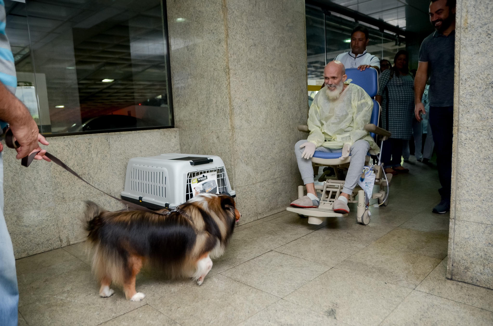 Un bărbat internat în spital și-a revenit după ce a primit vizita cățelului său mult iubit!