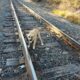 Un biet animal de companie a fost legat pe șinele de cale ferată!