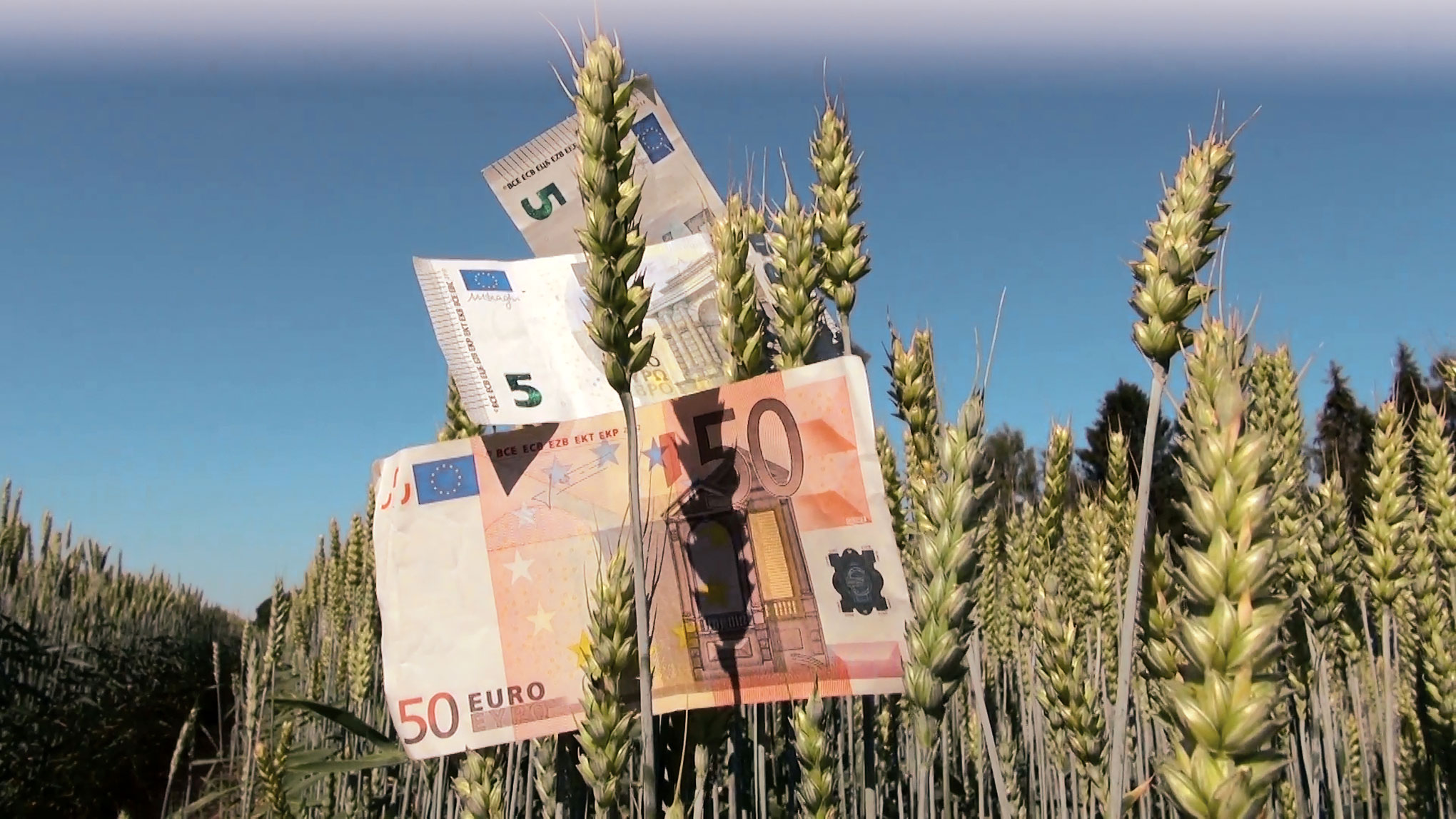 Peste 16 milioane de euro solicitați pentru înființarea grupurilor de producători în sectorul agricol. Cine beneficiază de fonduri