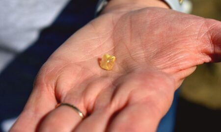 Noroc neașteptat. O californiancă găsește un diamant galben brut de 4,38 carate într-un parc de stat din Arkansas