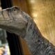 Video. O campanie originală a ONU. Un dinozaur dă sfaturi omenirii