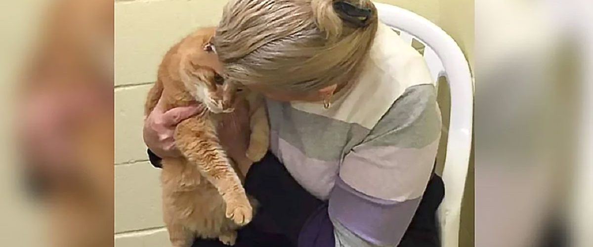 După ce a salvat un motan bătrân din adăpost, o femeie și-a dat seama că trebuie să îi salveze și prietenul!