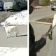 Gestul salvator al unui cățel pentru stăpâna lui căzută pe trotuar!
