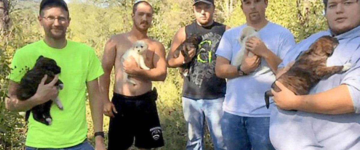 O cățelușă și cei șapte pui au fost salvați de un grup de tineri aflați la o petrecere în pădure!