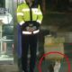 O pisică a fost lăsată de un grup de polițiști să își aducă puii pe lume în siguranță!