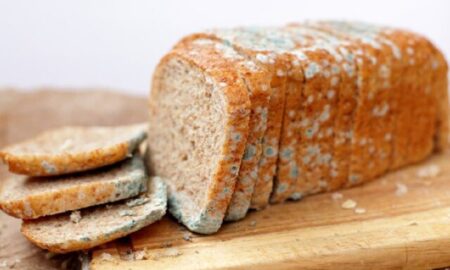 Ce se întâmplă dacă mănânci pâine mucegăită. Greșeala pe care mulți români o fac!