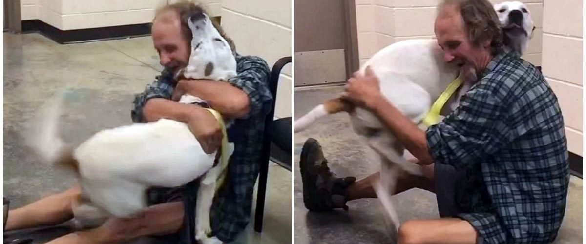 Revederea emoționantă între un bărbat fără adăpost și câinele său pierdut!