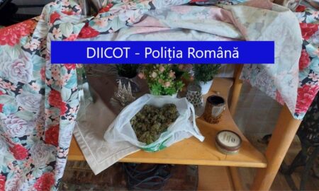 Topul țărilor producătoare de Marijuana. România e și ea inclusă