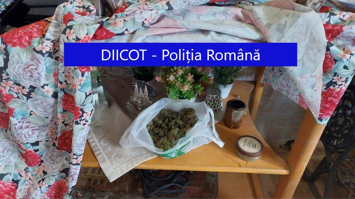 Topul țărilor producătoare de Marijuana. România e și ea inclusă