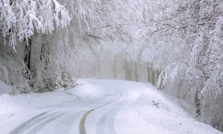 Alertă de la meteorologi. ANM: „Ninsori puternice și viscol în toata țara”