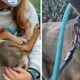 Lupta cu depresia a unui cățel adoptat dintr-un centru pentru animale! Familia decide să îi schimbe viața