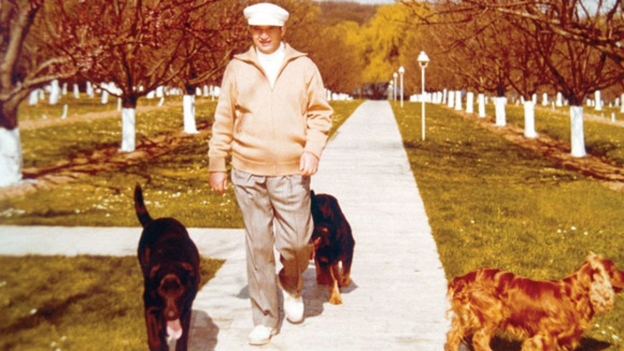 Câinii lui Nicolae Ceaușescu au fost tratați regește! Istoric: Dormea cu ei în dormitorul conjugal