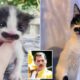 O pisică adorabilă a devenit vedetă pe internet! Cu ce cântăreț faimos seamănă felina