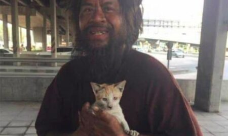 Povestea impresionantă a unui bărbat fără adăpost care vinde lămâi pentru a putea să își hrănească pisicile!