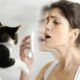 Astmul cronic și legătura neștiută cu alergia la pisici! La ce trebuie să fim atenți