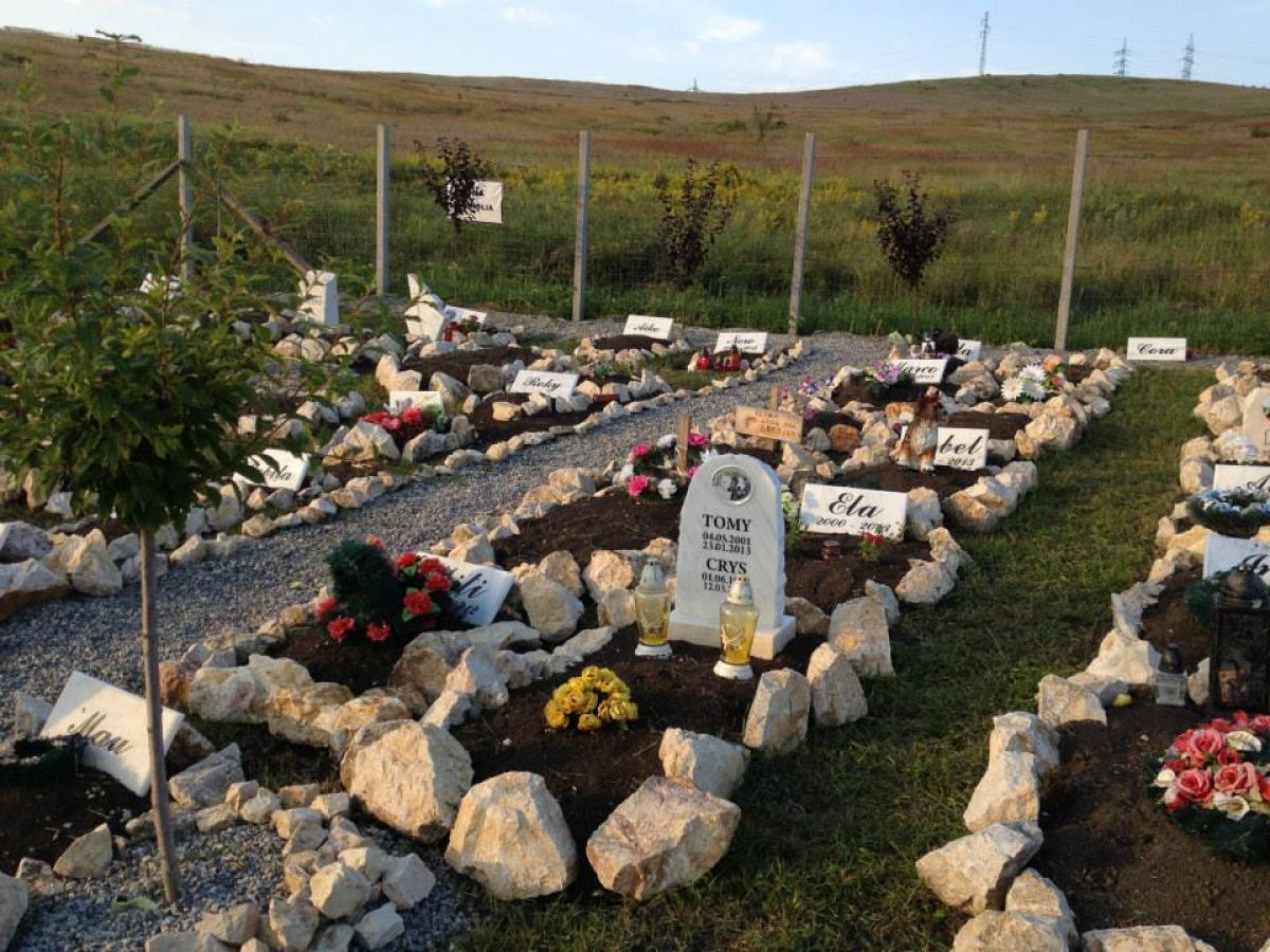 Cel mai mare cimitir pentru animalele de companie din România! Prețul unui loc de veci