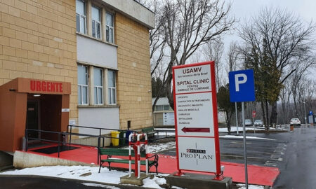 Cel mai neobișnuit pacient tratat la Spitalul Veterinar din Iași