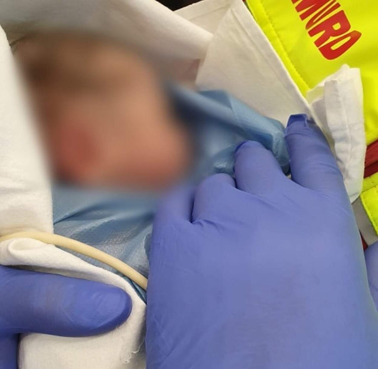 Poveste cu final neașteptat. Mama nu știa că va avea gemeni și i-a născut în locuri diferite