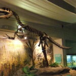 dinozauri
