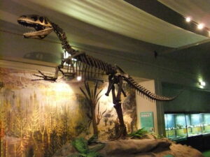dinozauri