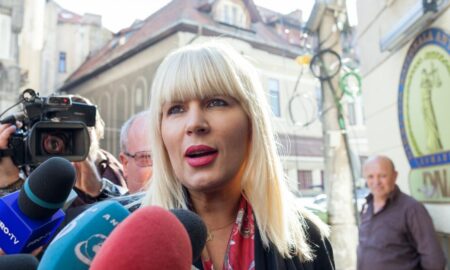 Elena Udrea, trage un nou semnal de alarmă: deținuții din penitenciare au dreptul legal să muncească, dar statul nu are interes