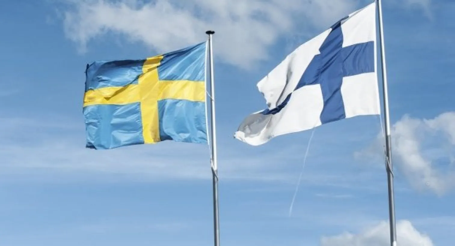 Suedia și Finlanda