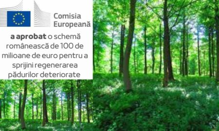 100 milioane de euro va primi  România de la UE pentru regenerarea pădurilor