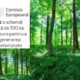 100 milioane de euro va primi  România de la UE pentru regenerarea pădurilor