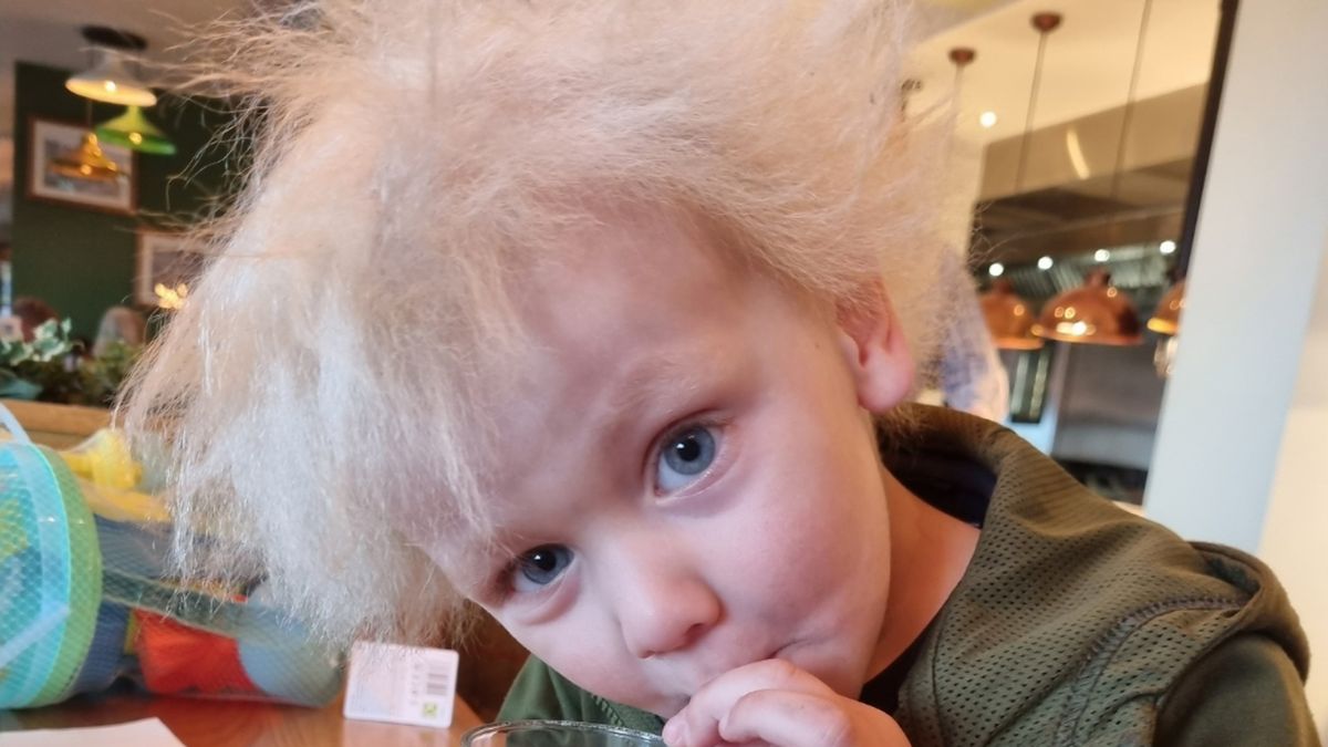 Are 3 ani și i se spune Boris, după numele premierului britanic, ambii cu sindromul părului nepieptănat
