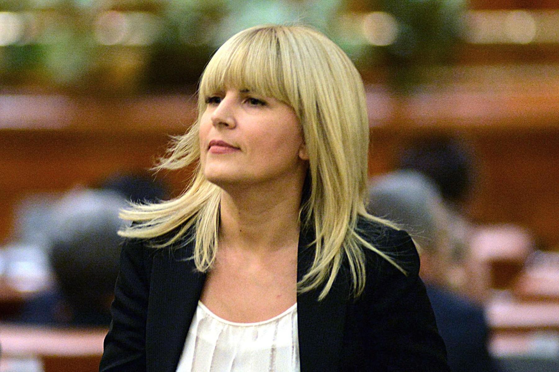 Elena Udrea, încă un strigăt de ajutor: Astăzi copilul meu creşte fără mamă, Rudel Obreja se luptă pentru viaţa lui