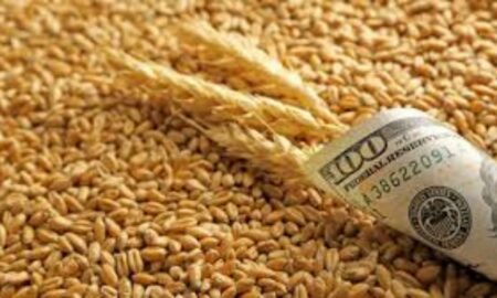 România dă Ucrainei nu doar sprijin, ci și agricultura. Cerealele din Ucraina strică piața românească.