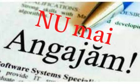 Angajările la stat vor fi suspendate pe perioada 01 iulie – decembrie 2022, cu unele excepții