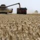 Cresc tensiunile în UE. Polonia și Ungaria au interzis comerțul cu cereale din Ucraina