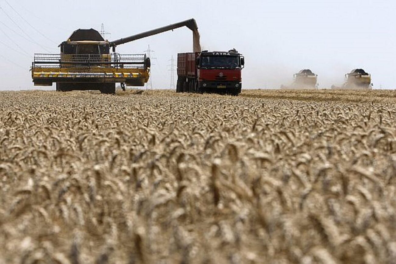 Cresc tensiunile în UE. Polonia și Ungaria au interzis comerțul cu cereale din Ucraina