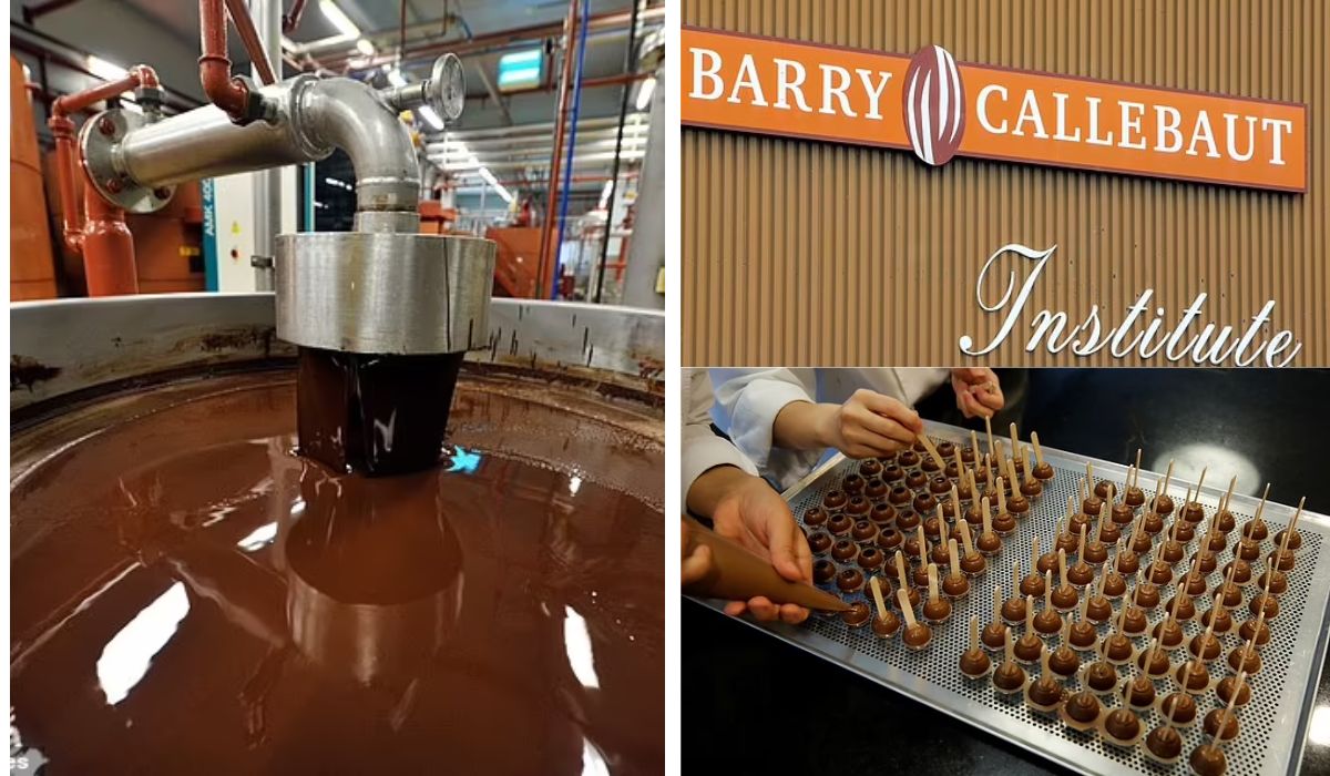 O fabrică uriașă de ciocolată din Belgia s-a închis datorită unui focar de salmonella