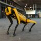 Misiune crucială. Un câine-robot este trimis în Ucraina