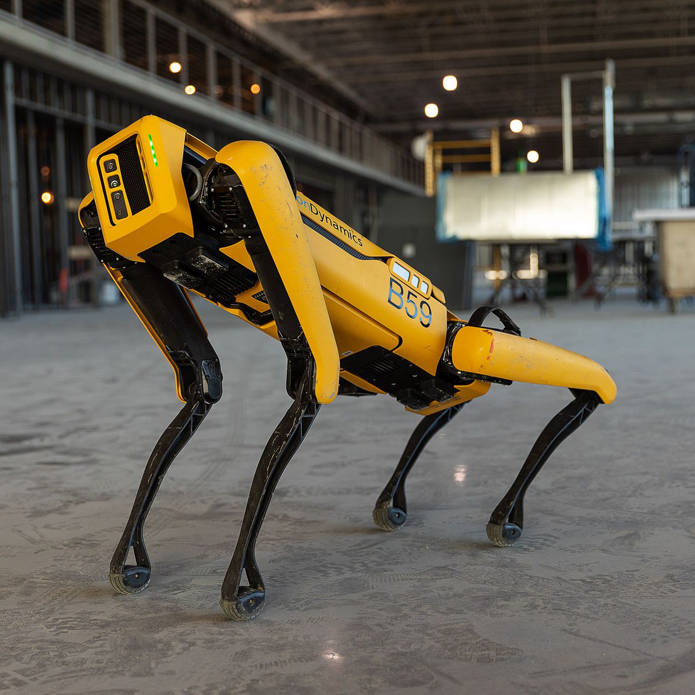 Misiune crucială. Un câine-robot este trimis în Ucraina