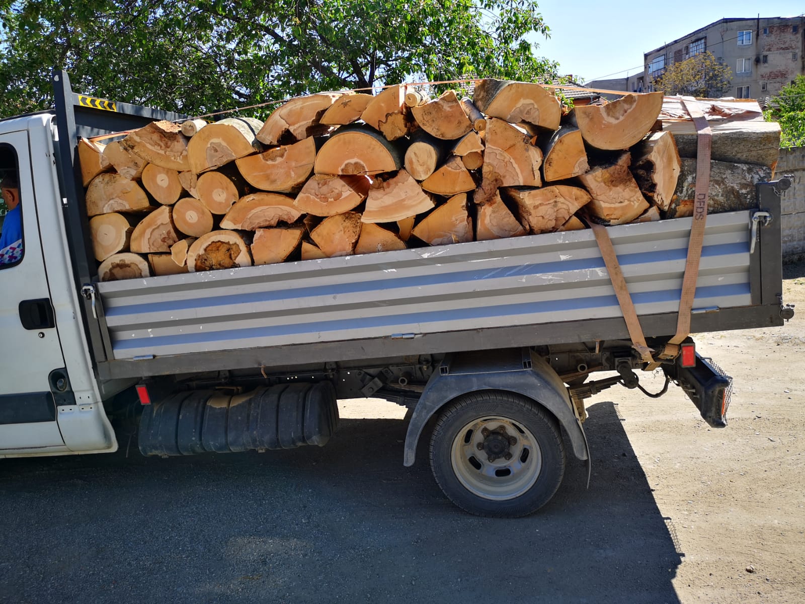 Coaliţia a decis: Plafonarea preţului pentru şase luni, la lemne de foc de la Romsilva 