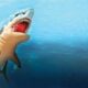 Egiptenii au descoperit motivul atacului rechinului care le-a ucis pe cele femei. Raportul anchetatorilor a fost făcut public