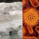 Noi pandemii pot fi provocate de microbii eliberați din „celulele de gheață” de pe Platoul Tibetan
