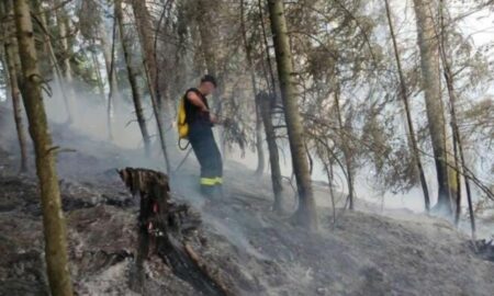A fost descoperită cauza incendiului de pădure de la Colibița, după ce focul a fost stins