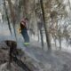 A fost descoperită cauza incendiului de pădure de la Colibița, după ce focul a fost stins