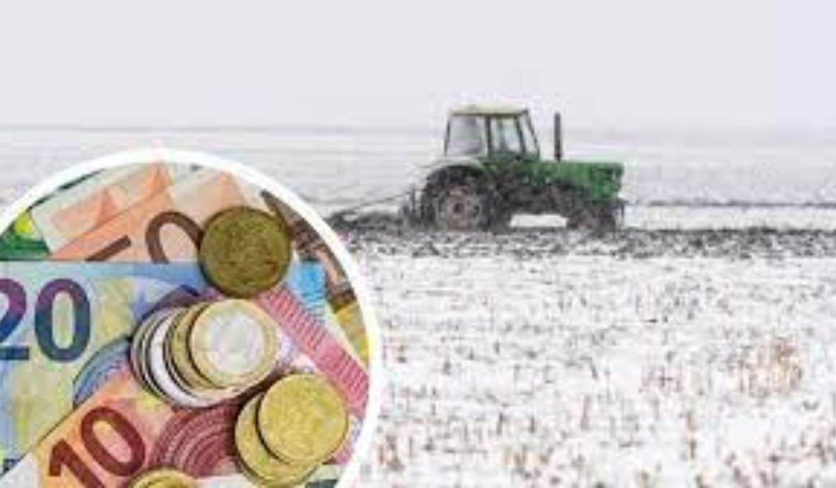 datoriilor Tinerii fermieri vor primi 200.000 de euro/fermă! Care sunt condițiile