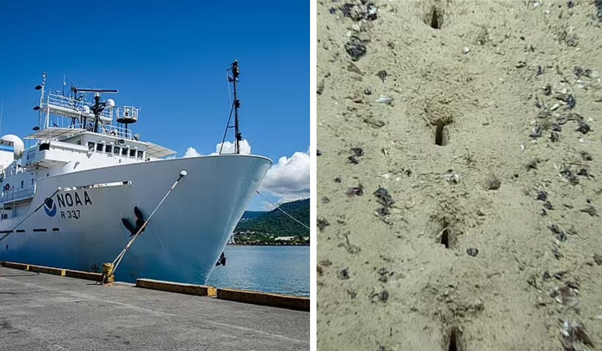 Gropi misterioase descoperite pe fundul Atlanticului. Cercetătorii nu au o explicație. La cine au apelat pentru a afla misterul